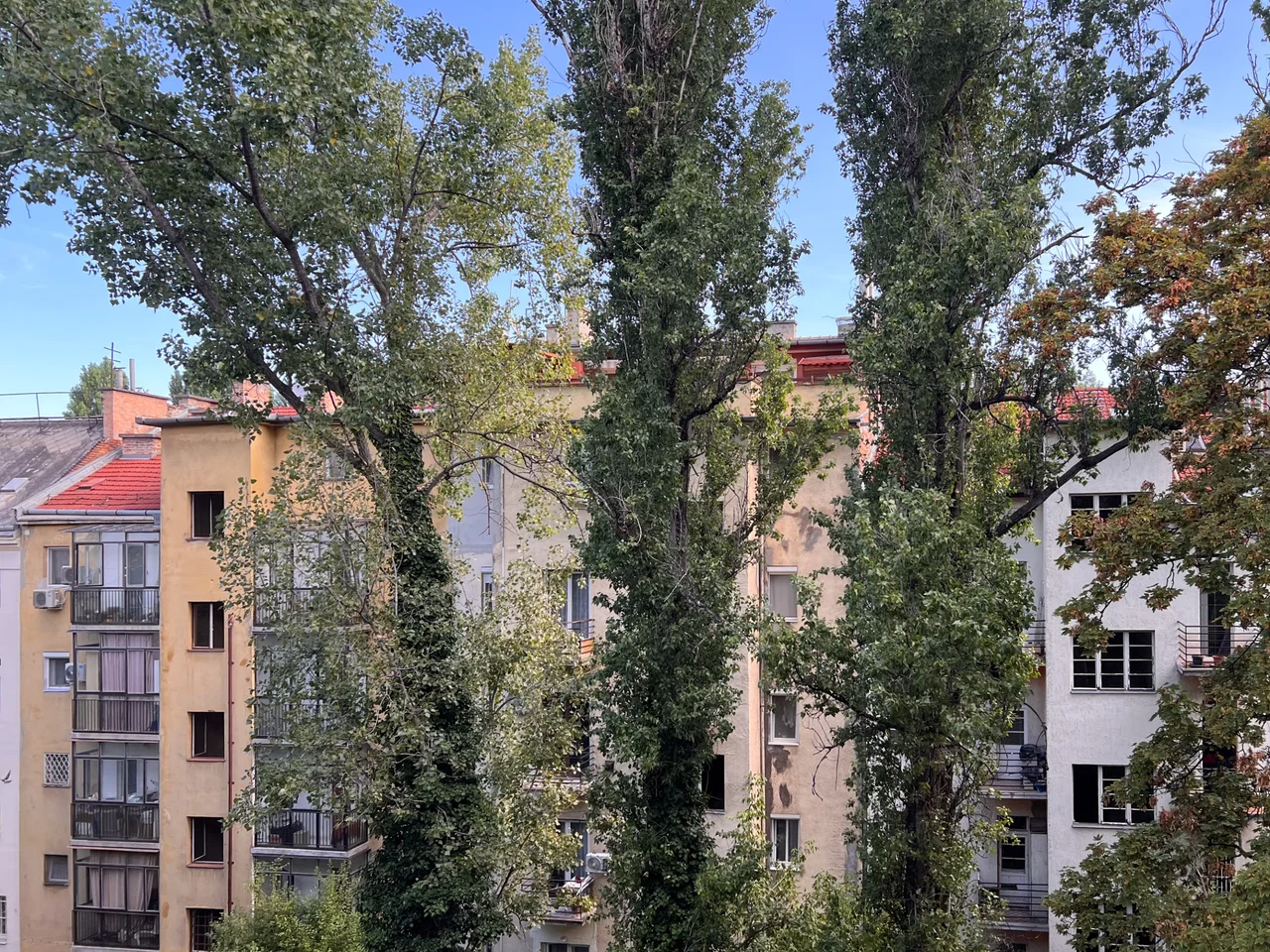 Eladó Lakás Az ALLE közelében
