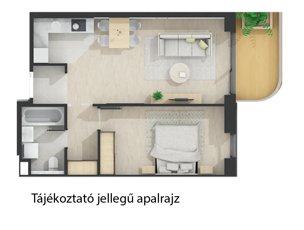 Kép
