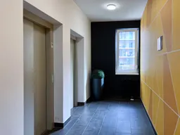 Kép